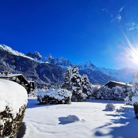 Chamonix Appartement Vue Mont Blanc Avec Jardin Bagian luar foto