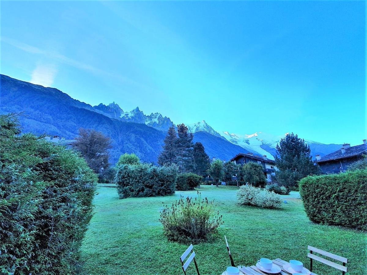 Chamonix Appartement Vue Mont Blanc Avec Jardin Bagian luar foto