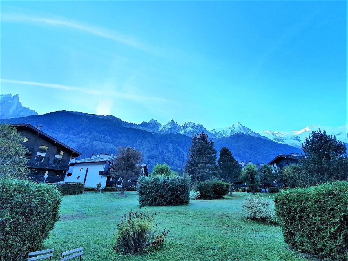 Chamonix Appartement Vue Mont Blanc Avec Jardin Bagian luar foto