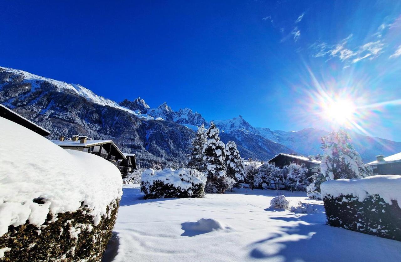 Chamonix Appartement Vue Mont Blanc Avec Jardin Bagian luar foto