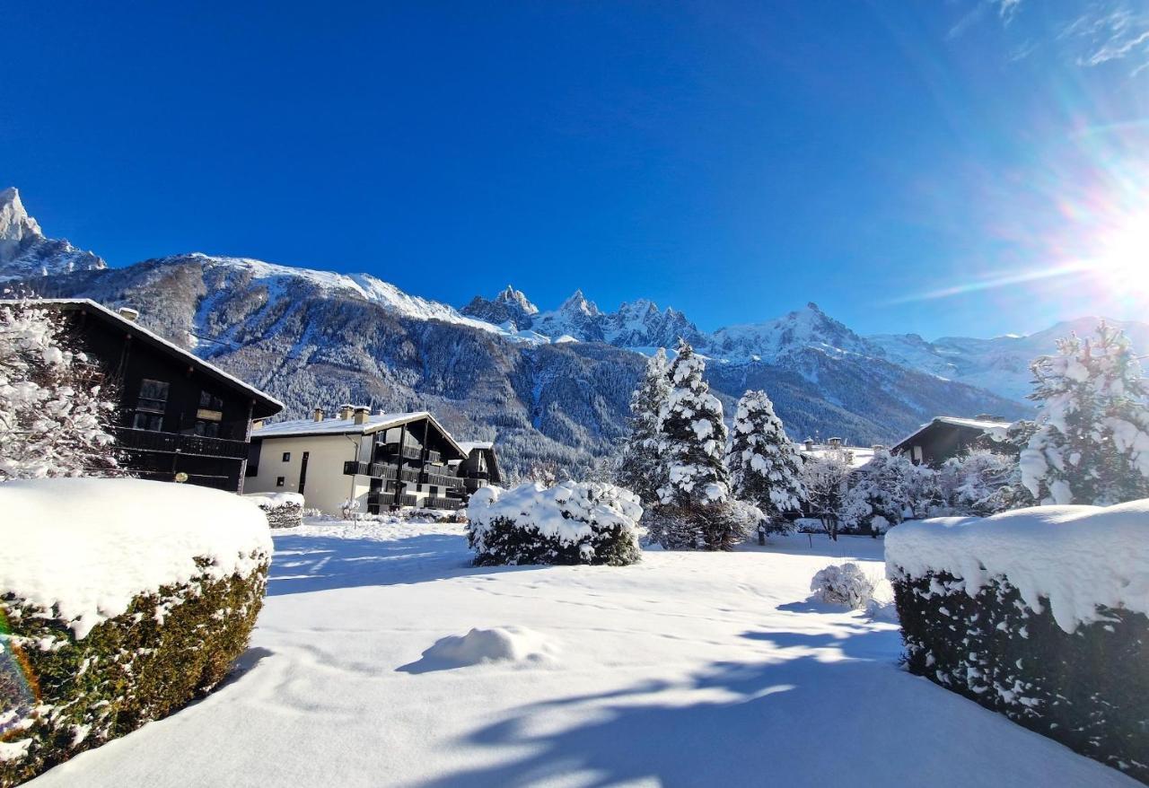 Chamonix Appartement Vue Mont Blanc Avec Jardin Bagian luar foto